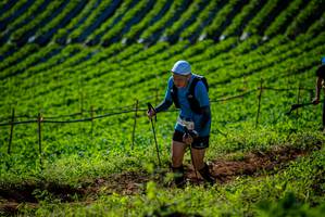 BIB: 
                            <button type="button" onclick="openModal(19160818)" class="btn btn-primary btn-sm float-right btn-popup" data-toggle="modal" data-target=".modal-high-quality">
                        <i class="fas fa-shopping-cart"></i> Add to Cart
                    </button>
                                            <button type="button" onclick="isThisMe(19160818, true)" class="btn btn-success btn-sm float-right btn-popup btn-isme hidden" data-toggle="tooltip" data-placement="bottom" title="นี่คือรูปของคุณใช่ไหม คลิกที่นี่เพื่อเอาเข้าอัลบั้ม">
                        <i class="fas fa-plus"></i> Add to album
                    </button>
                    <button type="button" onclick="isThisMe(19160818, false)" class="btn btn-warning btn-sm float-right btn-popup btn-isnotme hidden">
                        <i class="fas fa-ban"></i> Remove from album
                    </button>